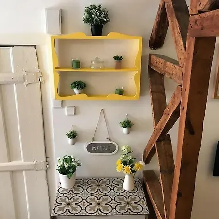 Apartamento Typical Studio In Great Location! Tram 28! *